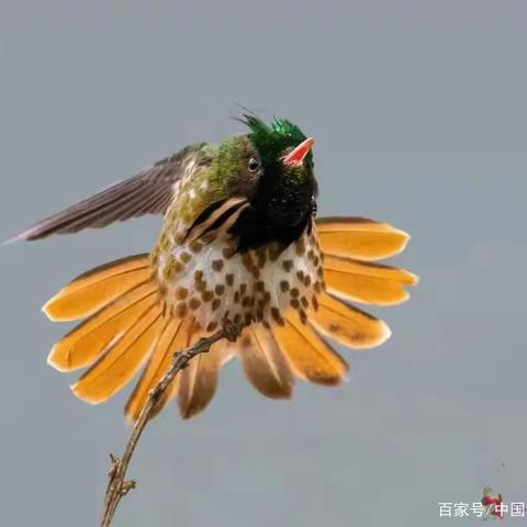 闽作家：认识万物