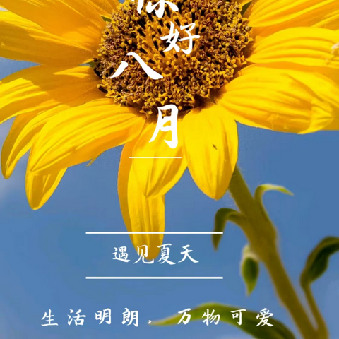 国际花园8月份月度服务报告