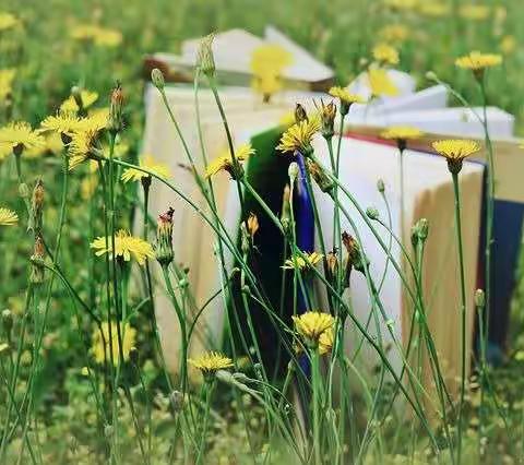 城关镇中心小学三年级全体师生坚持“离校不离教，停课不停学”