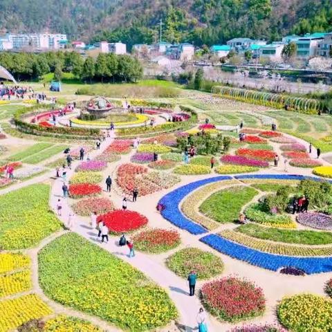 春日浪漫不打烊