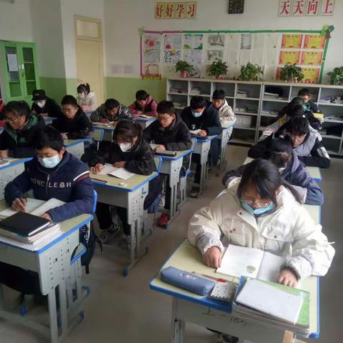 沐浴书香的芬芳