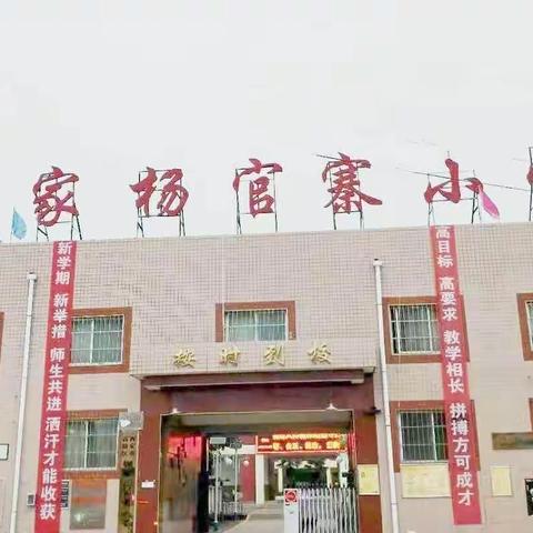 “停课不停学”-西安市高陵区姬家杨官寨小学线上教学简报