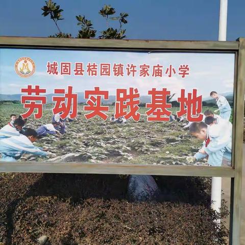 “崇尚劳动·乐于实践 ”　　——城固县小学劳动实践教育基地