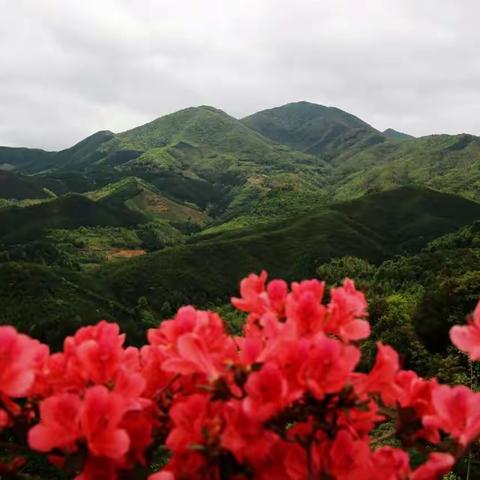 美丽风景2