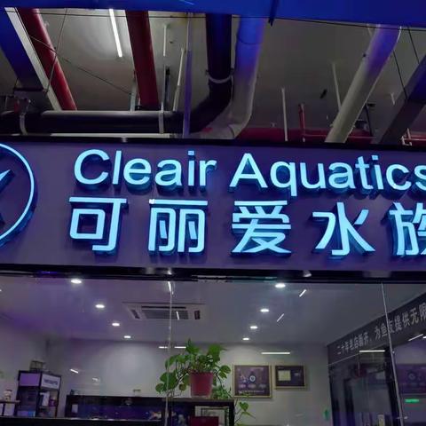 海安实验小学一（1）班第四组鱼项目学习活动