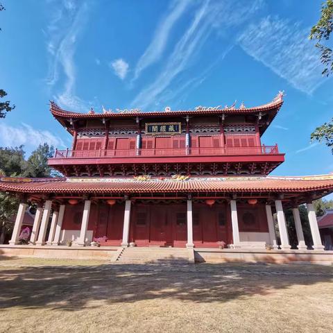 绿萝的美篇