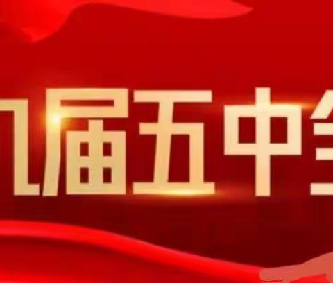 红领巾，看全会——太平庄完全小学少先队员学习十九届五中全会精神主题队会