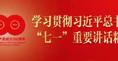 深入学习贯彻习近平总书记“七一”重要讲话和重要训词精神