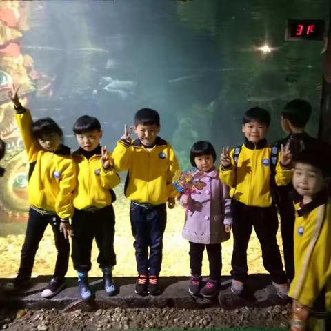 不负春光，今天学校带我去旅行