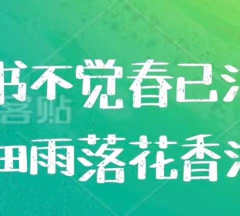 读书不觉春已深 细雨落花香满地——靖边县第九小学“整本书共读”课例展示活动