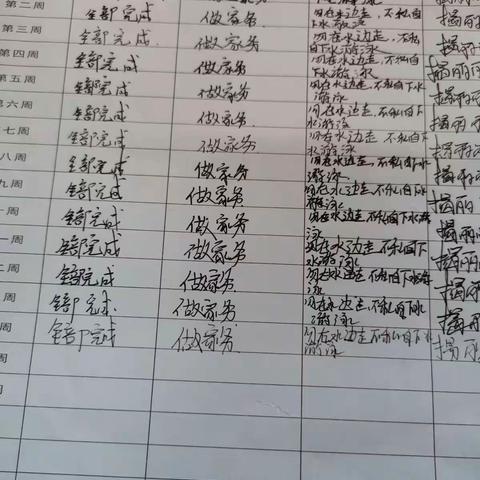 七（15）周末育人过程跟踪卡