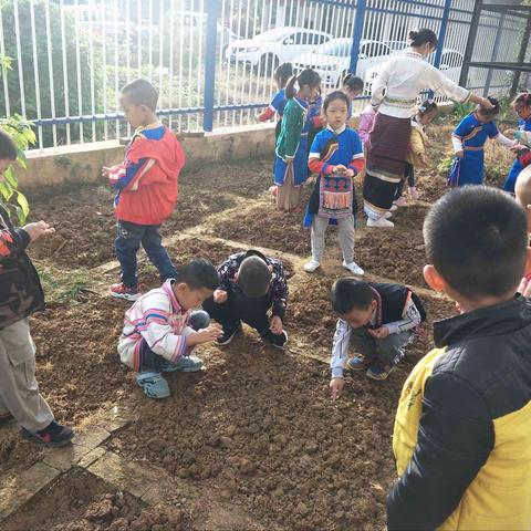 小菜地种植新体验——象明乡幼儿园大二班