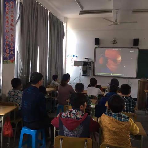 大爱无疆。        象牙的明星