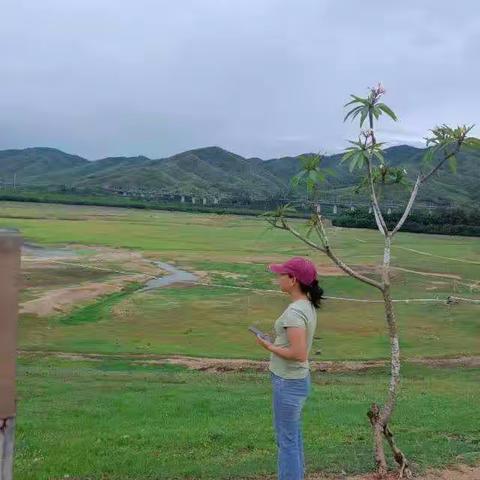 天涯区农业农村局水务办端午节期间水库巡查情况