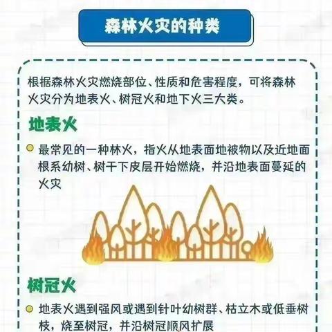 致家长的一封森林防火公开信