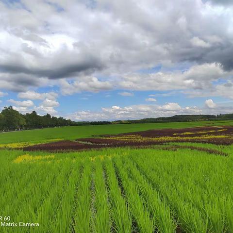 阎家岗农场