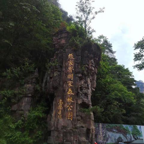 张家界武陵源风景区———张家界国家森林公园