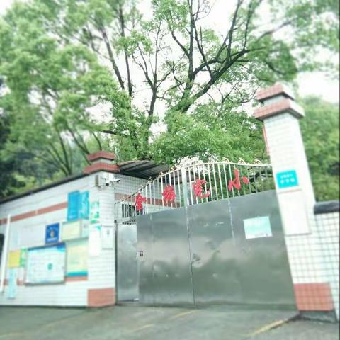 防疫有我    爱卫同行――金梅完小爱国卫生运动倡议书