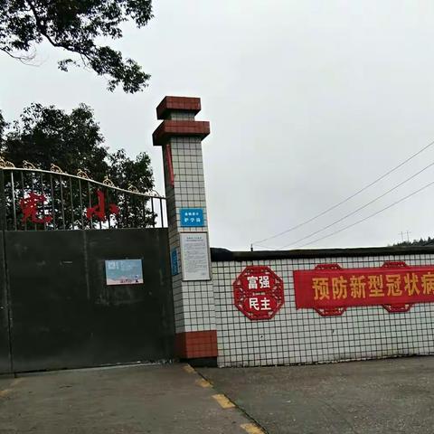 阻击新型冠状病毒肺炎――金梅完小“停课不停学”正在进行中……