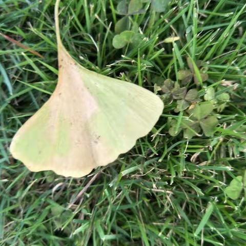 秋天的故事 之 颜色篇