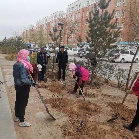 汇达物业植树周