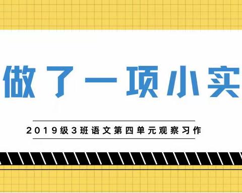 我手写我心｜临沂朴园小学2019级3班《我做了一项小实验》习作分享