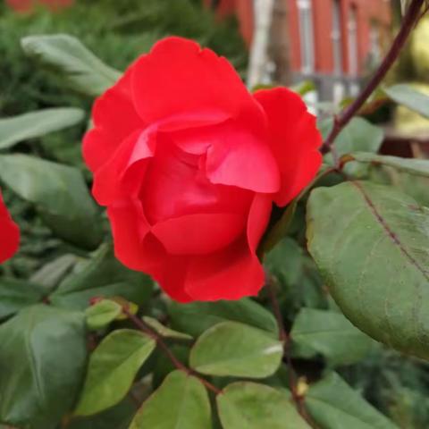 让爱的阳光，驱散“冬日”的严寒