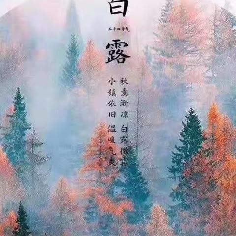白露乐