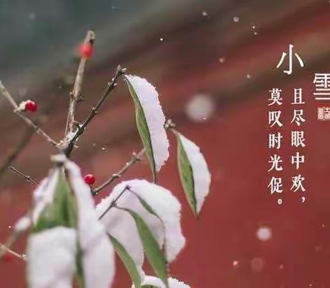 二十四节气之小雪 实践活动