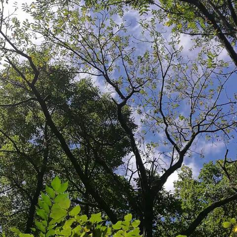 初秋的承德山区