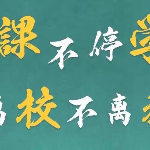 积蓄力量，静待花开                            ——湖洋中心小学“停课不停学”活动