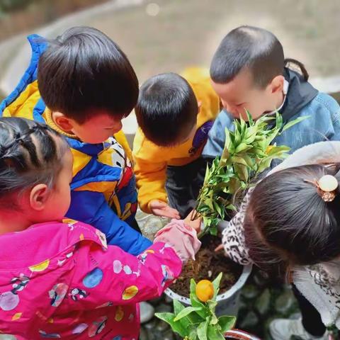 启航三班“许美好愿望，献绿色爱心”植树节活动