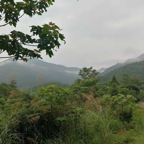 横峰县社会福利中心胡星根的美篇