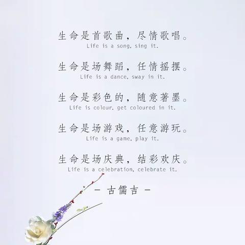 生命是场庆典 结彩欢庆 祝福！