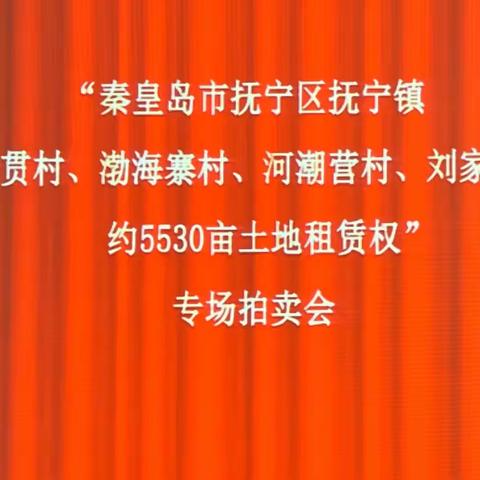 春风吹号角 竞标开门红，----奋进2022 抚宁镇乡村振兴再启鸿篇