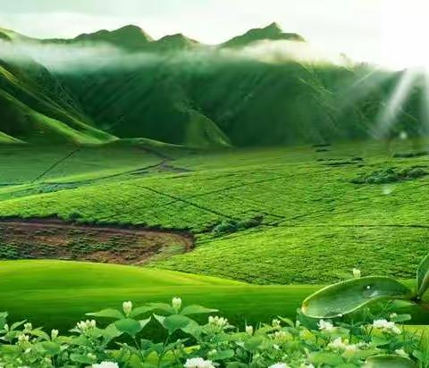 你我他，同心协力，战病魔