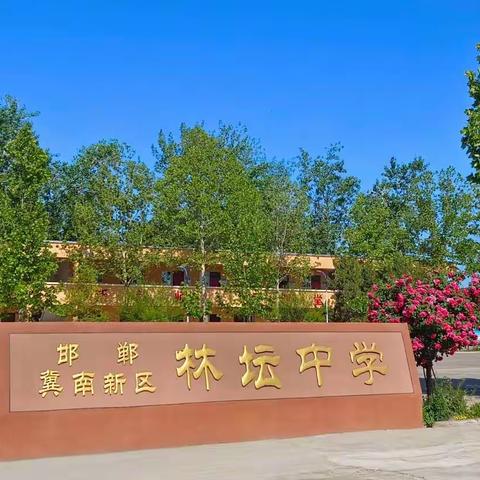 学无止境，携手共进——冀南新区林坛中学开展暑期教师培训