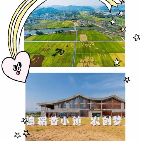 走进稻香课堂    品味农耕文化——上马分园小一班亲子研学活动