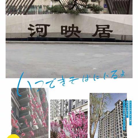 河映居小区3月份工作