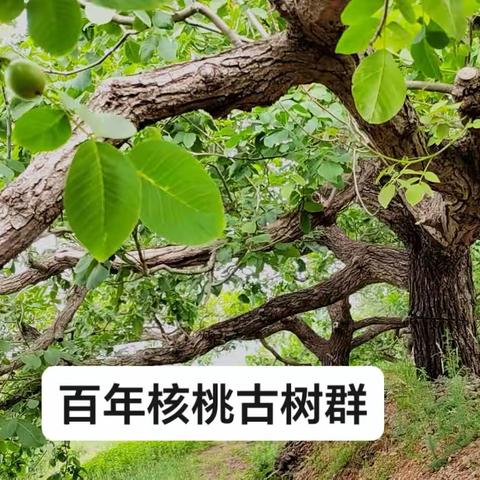 李贺国的美篇