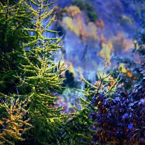 喇叭沟门小景2017年10月14日随轻骑兵团秋拍北京市喇叭沟门。