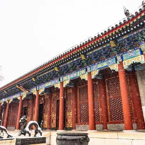 赏雪颐和园