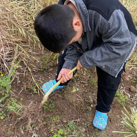 愉快的五一