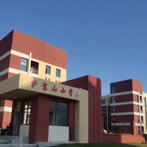 护驾山小学数学教研会