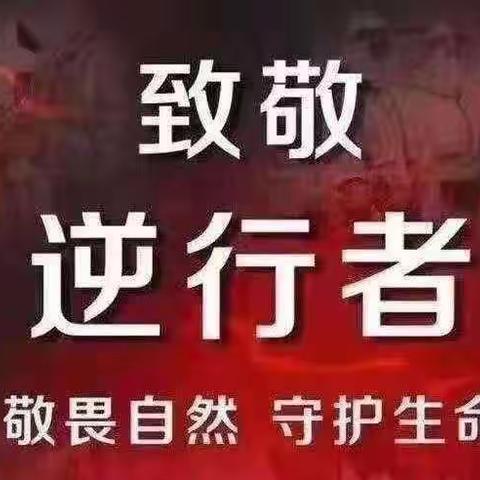 宅家不宅练、“恋”出好身体——五十三团第一小学二年级（4）班体育健康篇