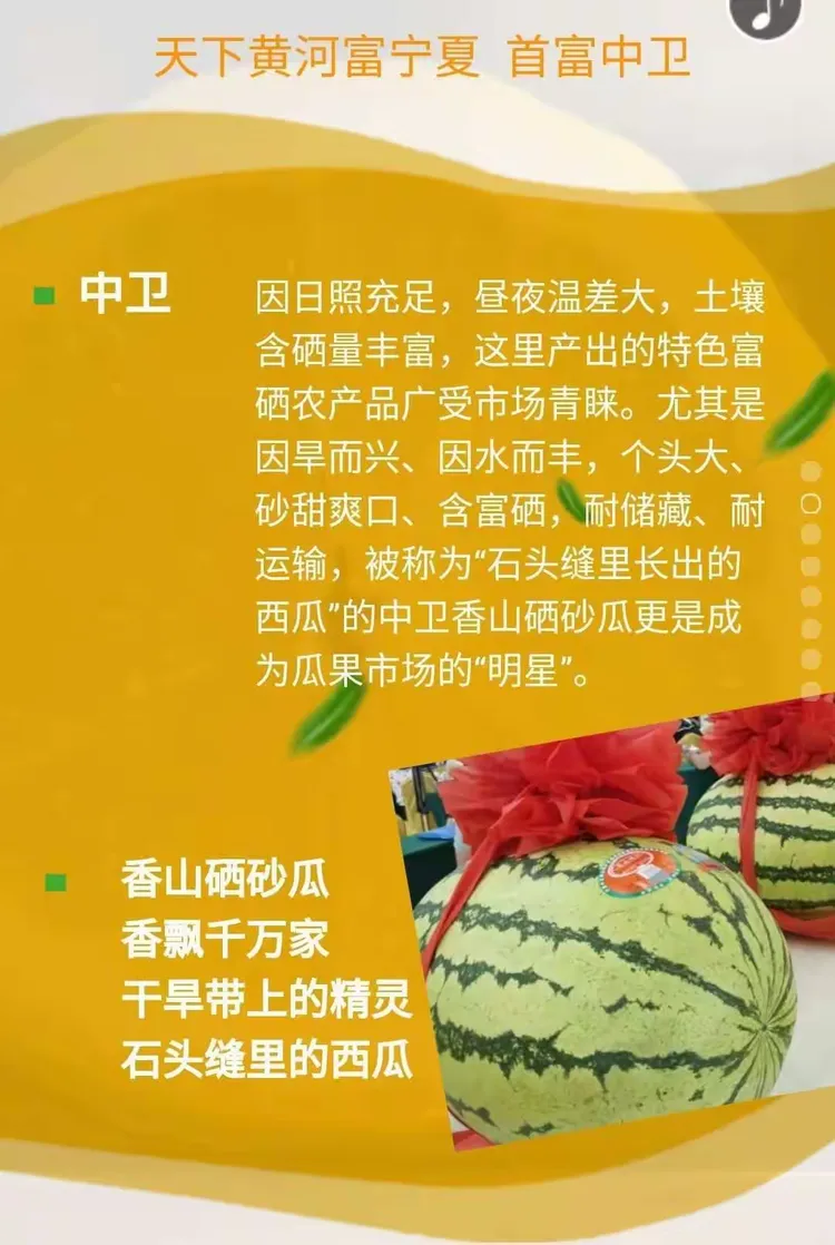 香山硒砂瓜!才是珍品