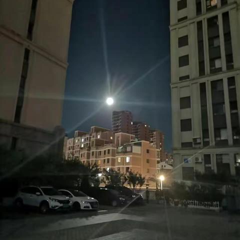 我与城市同“静默”（下）