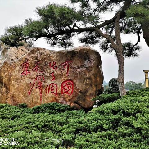 黄山劲松迎远客 鼓浪屿上踏歌声（之六：依依惜别）