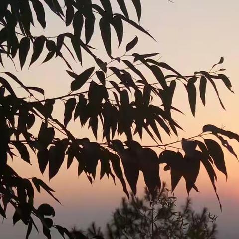 秋日的纪念