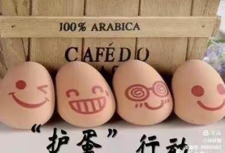 童曲幼儿园小班【护蛋大行动】